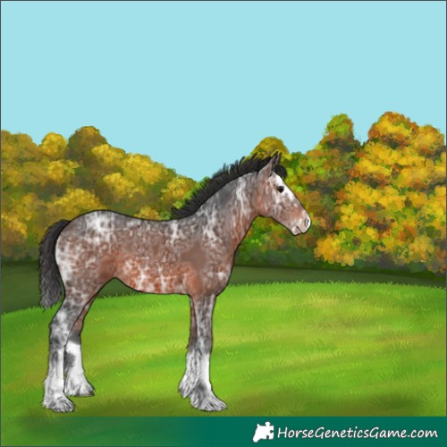 Horse Color:Brown Ice Splash 