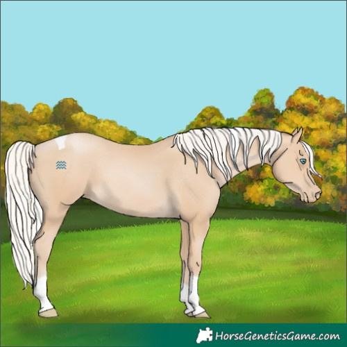 Horse Color:Silver Smoky Black Pearl Tobiano