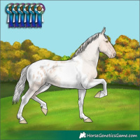 Horse Color:Silver Sable Champagne Roan Dun Tobiano Appaloosa