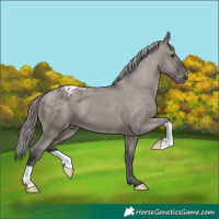 Horse Color:Platinum Smoky Grullo Varnish