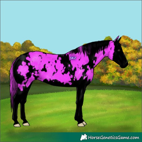 Horse Color:Void Watercolor White Spotted Liver Chestnut Splash
