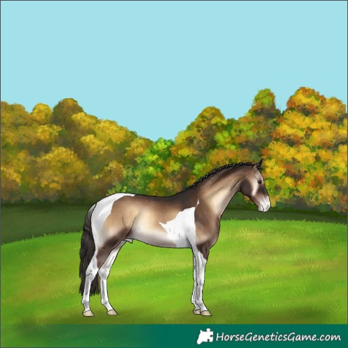 Horse Color:Liver Red Onyx Tobiano Varnish Rabicano 