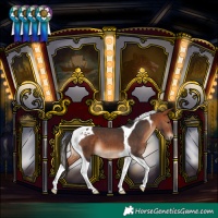 Horse Color:Bay Tobiano 