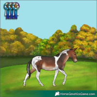 Horse Color:Bay Tobiano