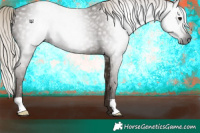 Horse Color:Gray Silver Black 