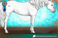 Horse Color:Gray Silver Black