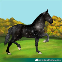 Horse Color:ERROR: UNKNOWN ANOMALY