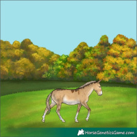 Horse Color:Chocolate Palomino Dun Mushroom 