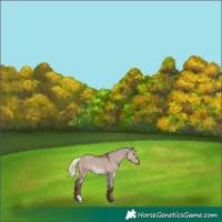 Horse Color:Liver Red Dun Mushroom