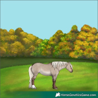 Horse Color:Liver Red Dun Mushroom 