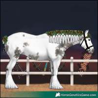 Horse Color:Gray White Spotted Silver Black Splash Tobiano Rabicano 
