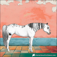 Horse Color:Black Sabino Frame Rabicano