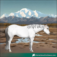 Horse Color:Brown Sabino Tobiano Frame Rabicano 