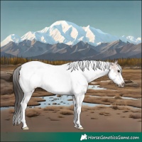 Horse Color:Brown Sabino Tobiano Frame Rabicano 