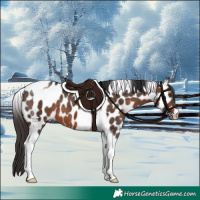 Horse Color:Brown Tobiano Leopard