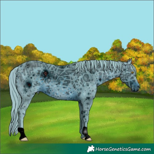 Horse Color:ERROR: UNKNOWN ANOMALY