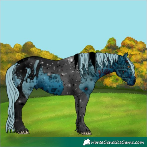 Horse Color:ERROR: UNKNOWN ANOMALY