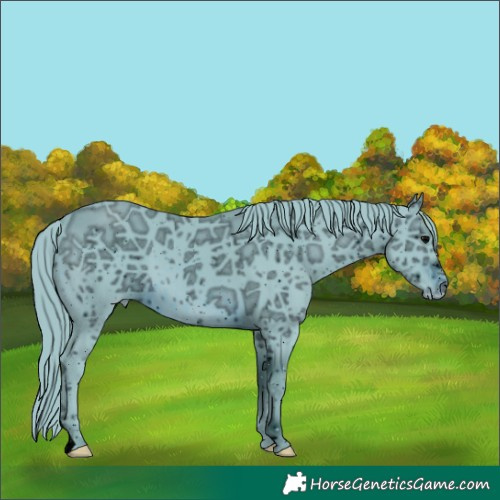 Horse Color:ERROR: UNKNOWN ANOMALY
