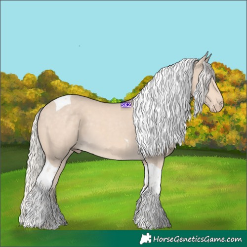 Horse Color:Cremello Tobiano