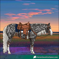 Horse Color:Liver Chestnut Mushroom Snowflake Varnish