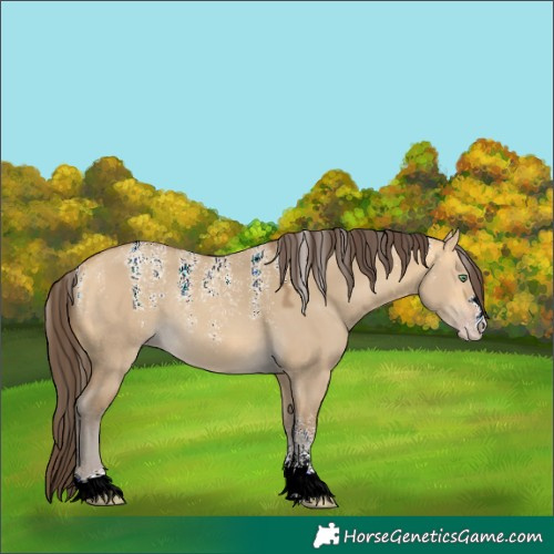 Horse Color:Powder White Sable Cream Champagne Dun Rabicano 