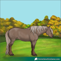 Horse Color:White Spotted Liver Red Dun Mushroom Rabicano 
