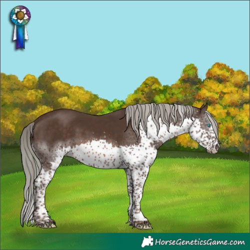 Horse Color:White Spotted Liver Chestnut Mushroom Splash Tobiano
