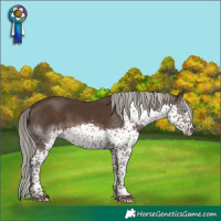 Horse Color:White Spotted Liver Chestnut Mushroom Splash Tobiano 