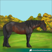 Horse Color:White Spotted Brown Mushroom Rabicano 