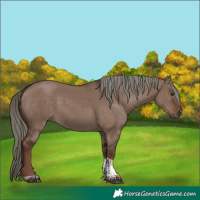 Horse Color:Liver Red Dun Mushroom Tobiano