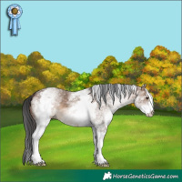 Horse Color:White Spotted Brown Dun and White Spotted Brown Dun