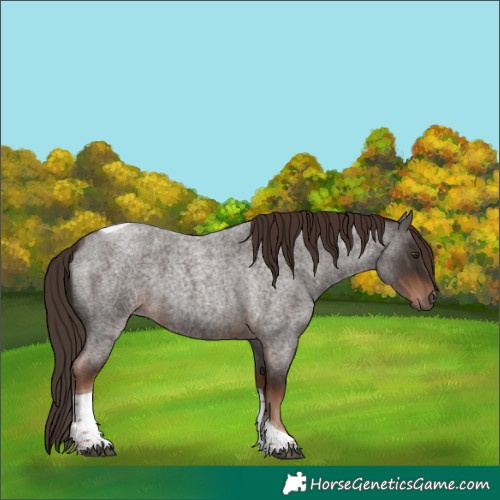 Horse Color:Liver Red Roan Tobiano 