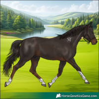 Horse Color:Liver Chestnut Tobiano