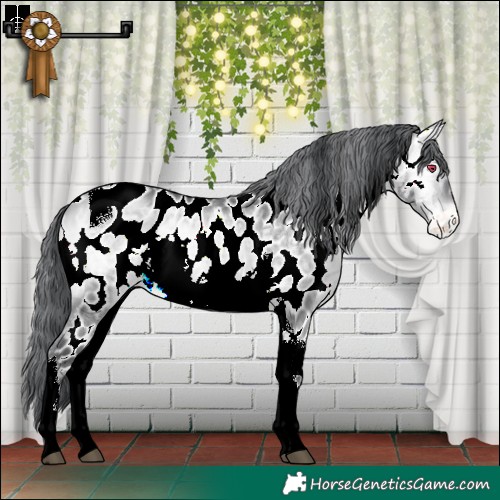 Horse Color:Bay Chinchilla Onyx Tobiano Appaloosa Rabicano 