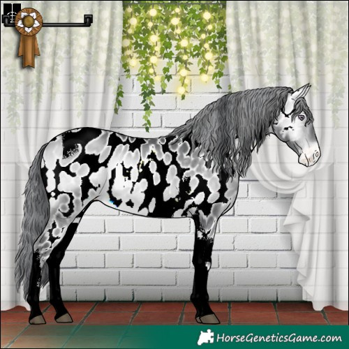 Horse Color:Bay Chinchilla Onyx Tobiano Appaloosa Rabicano 