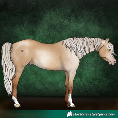 Horse Color:Gray Silver Classic Champagne Dun 