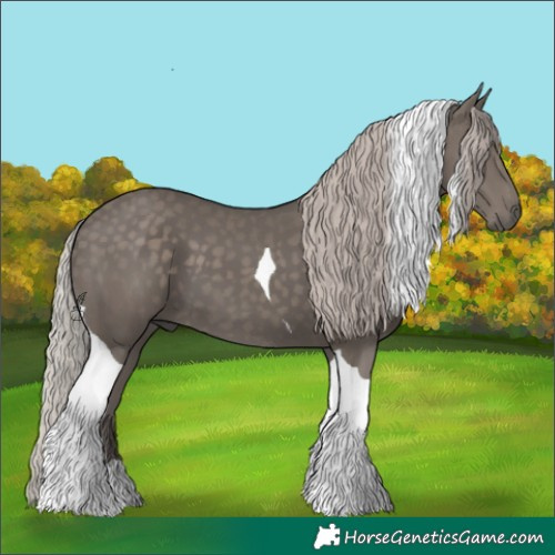 Horse Color:Silver Black Tobiano 