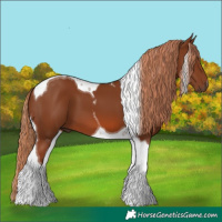 Horse Color:Chestnut Tobiano 
