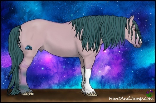 Horse Color:Watercolor Bay Dun 