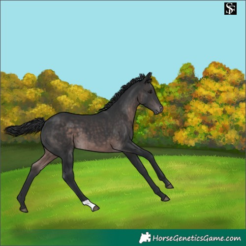 Horse Color:Platinum Brown 