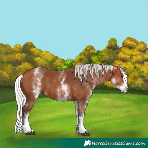 Horse Color:White Spotted Silver Bay Splash 