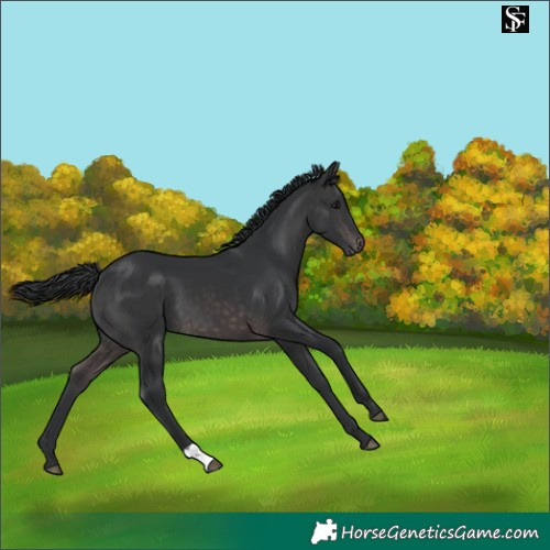 Horse Color:Platinum Brown 