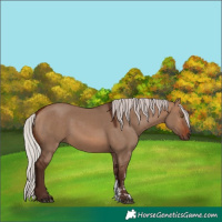 Horse Color:Silver Brown Dun Sabino