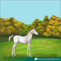 Horse Color:Painted Silver Bay Ice Dun Frame Rabicano 