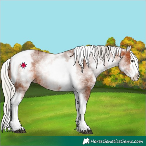 Horse Color:White Spotted Silver Bay Splash Tobiano