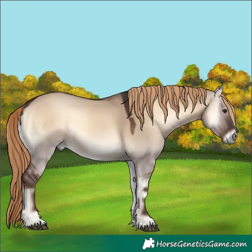 Horse Color:Liver Red Dun Onyx 