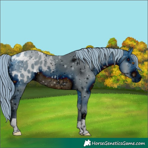 Horse Color:ERROR: UNKNOWN ANOMALY