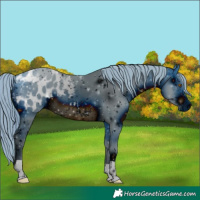 Horse Color:ERROR: UNKNOWN ANOMALY