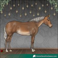 Horse Color:Silver Buckskin 