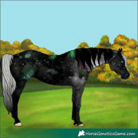 Horse Color:ERROR: UNKNOWN ANOMALY